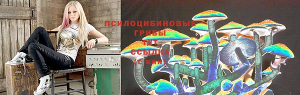 трава Абаза